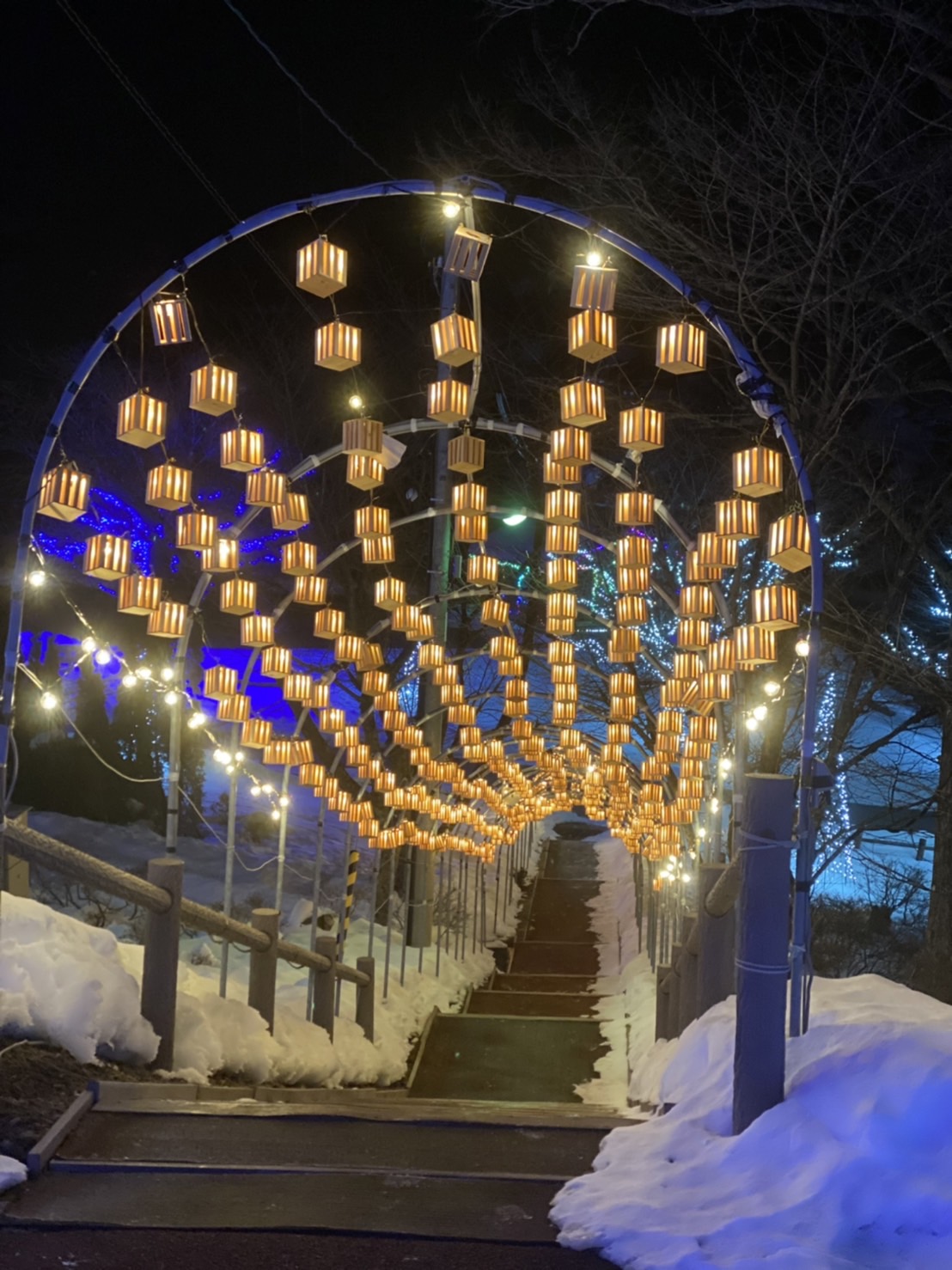 サンタランドイルミネーション 期間限定で点灯します！